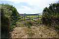 Field entrance opposite Trelaminney Farm