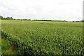 Arable field near Rousham