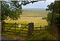 A view of Worston Moor