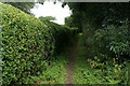 Bridleway leading to Heslington Lane