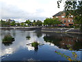 St Louis Basin at Salford Quays