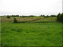 M3989 : Farmland near Cloonfallagh by David Purchase