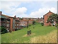 Flats in Craven Vale