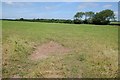 Farmland near Claverham