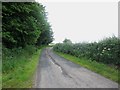 NU1426 : Country road passing Long Bank Plantation by Graham Robson