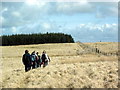 Mynydd Pencarreg Mountain