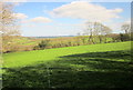 Field beside Common Water Lane