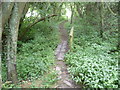 The Greensand Way near Ulcombe