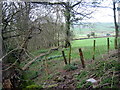 Llwybr Penybanc Path