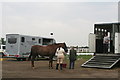 Dressage at Arena UK, Allington