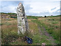 Maenhir Mynydd Llangyndeirn Standing Stone