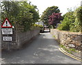 Give way to oncoming traffic - walkers on road, St David