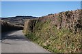 Lane to Littlecombe