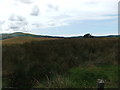 Fields by the old reservoir