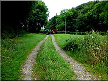 H4372 : Grassy short-cut, Mullaghmenagh Upper by Kenneth  Allen