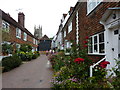 Winchelsea Cottage and neighbours