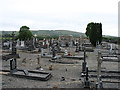 M3388 : Kiltimagh graveyard by David Purchase