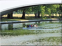 SU9875 : Rowers on the Thames under Albert Bridge by David Dixon