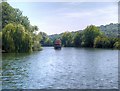 River Thames, Runnymede