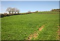 Field near Hartshole Farm