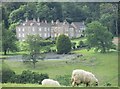 The former Woodlands Hall, Aislaby