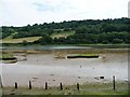 SY2590 : Axe estuary on a falling tide [2] by Christine Johnstone