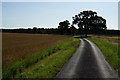 Minster Way towards Millfield Wood