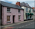 Pink house and The Sampler in St David