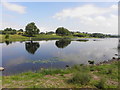 River Erne, Cleenish Island