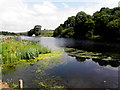 River Erne at Corrigans Shore