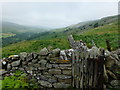 Cuckoo Hill and Fremington Edge