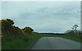 Rural road towards Portmahomack 