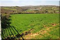 Towards Calstock