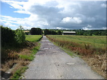 W8698 : Farm track east of Clondulane by David Purchase