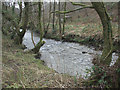 A glimpse of the Afon Garw/River Garw near Tylagwyn