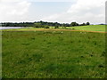 Lehill Townland