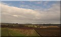 Farmland near Thorpe Hesley