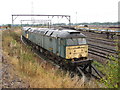 Stored locomotives in Basford Hall Yard