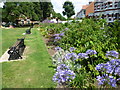 The garden in Little Wormwood Scrubs