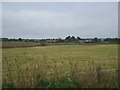 Farmland, Lower Myrtlefield