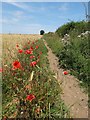 Footpath to South Anston