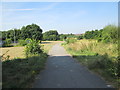 Footpath - Cartmell Drive