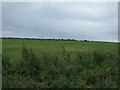 Farmland near Aulthash