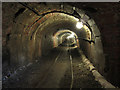 SJ6902 : Tar Tunnel, Coalport by Gareth James