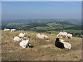 Looking west from Sugarloaf Hill