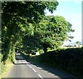 A narrow section of the B180 (Bryansford Road) south of the Barbican