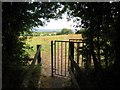 Llwybr Saron Footpath