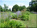 Flower beds in Acton Park