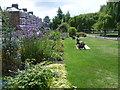 The garden in Little Wormwood Scrubs