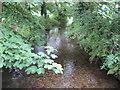 River Menalhyl, St Mawgan